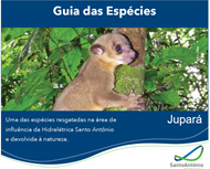 Jupará