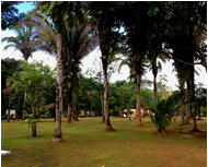 Parque Ecológico é reaberto com festa em Porto Velho