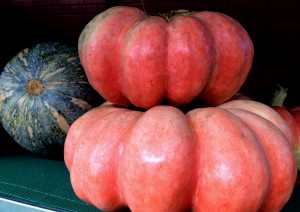 Feira Sabor do Campo volta com “cara” nova