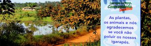 Caminhada ecológica ensina a cuidar dos igarapés