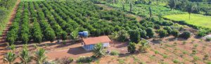 Santo Antônio Energia assina acordo com moradores do reassentamento Morrinhos