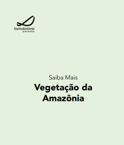 Saiba Mais - Vegetação da Amazônia